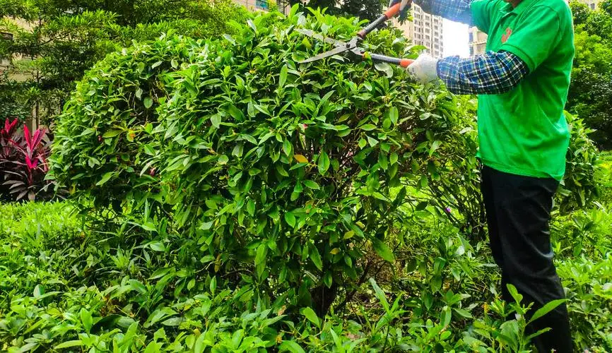 JN江南总部，乒乓球台标准尺度