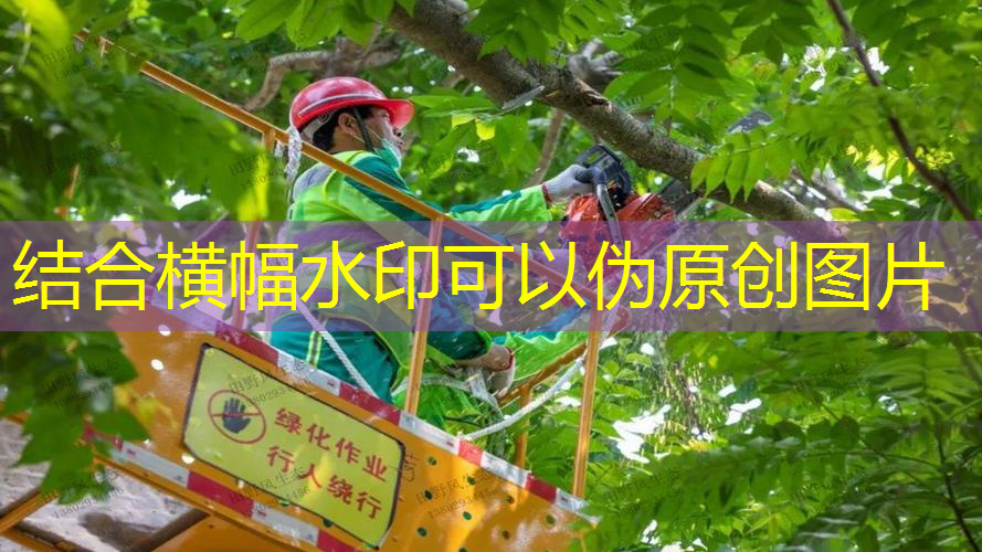 网球拍拍柄测量尺寸方法