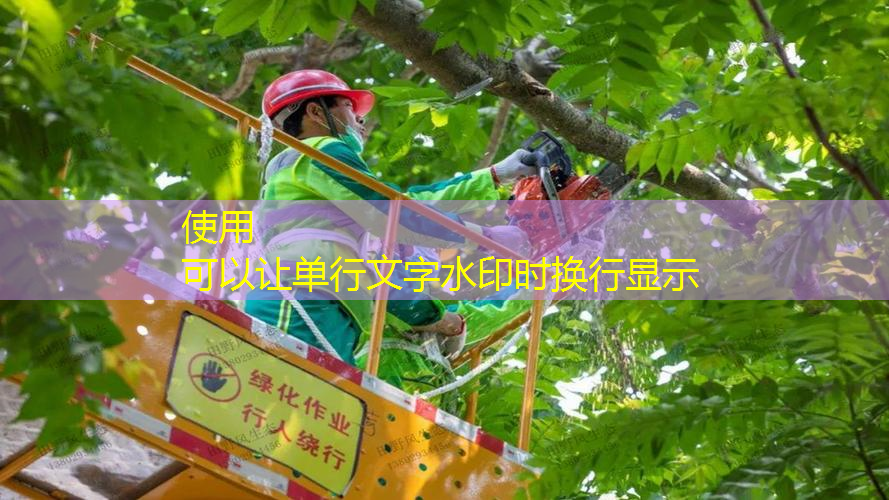 能拉线的网球拍是哪种材质