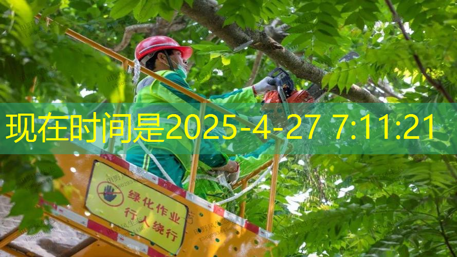 可以装拉线的网球拍叫什么