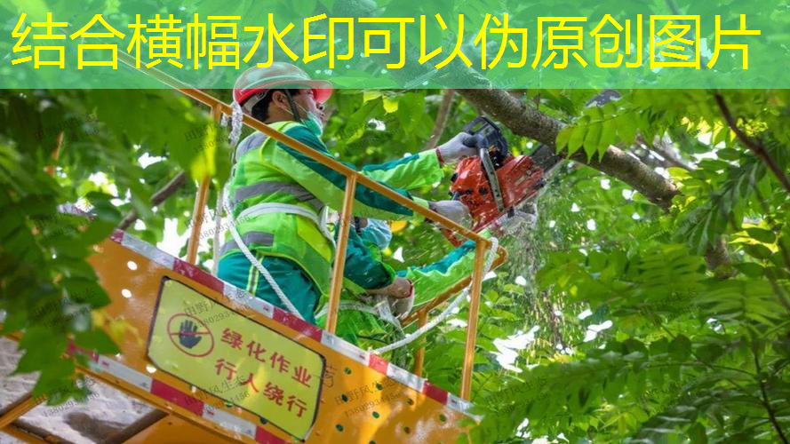 网球拍的网线硬度怎么样