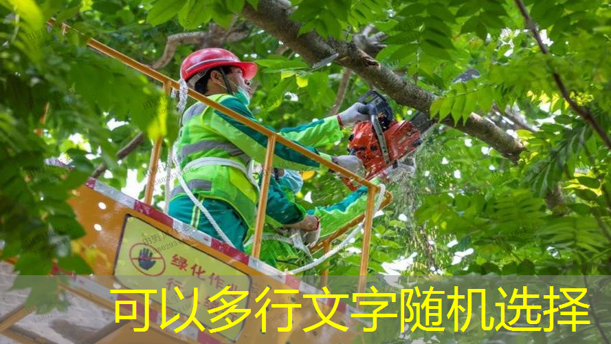 公园健身翻单杠，带来一场力量和美的碰撞！