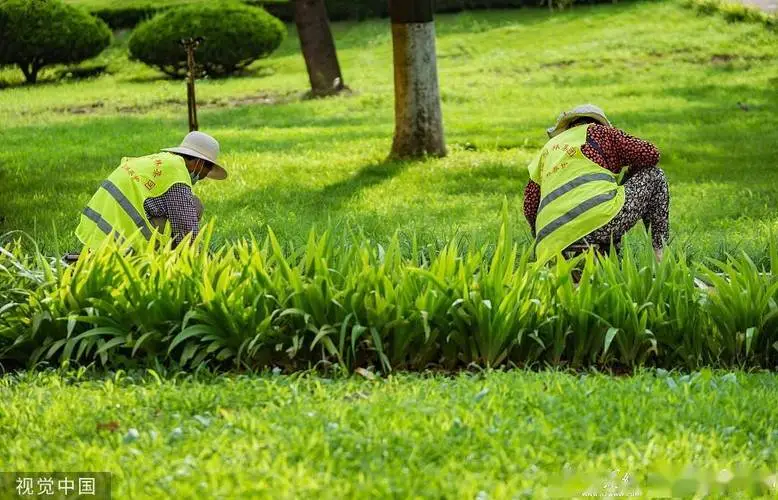 入门室内健身